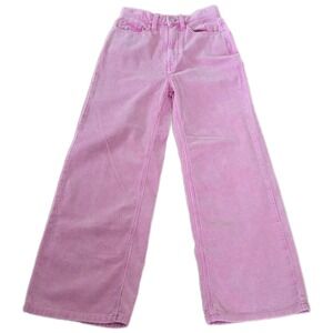 BDG Urban Outfitters Pink Pinstripe High Wide High Rise Corduroy Pants Womens 26
